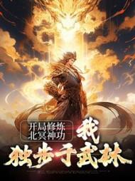 开局修炼北冥神功我独步于武林张无忌赵敏