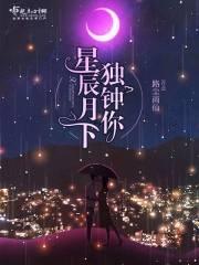 星辰月夜是什么意思呀