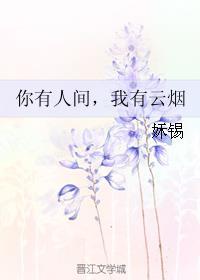 你有人间我有云烟书包网