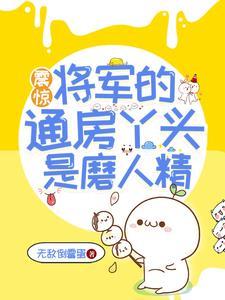 将军旳通房y头