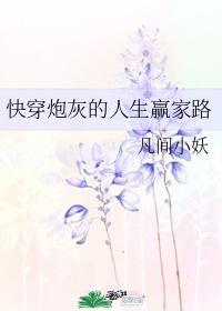 快穿炮灰的人生赢家路燕