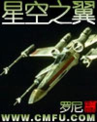 NV字体义启星空之翼