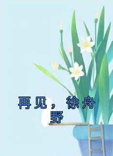 徐舟野周芙宋泊简