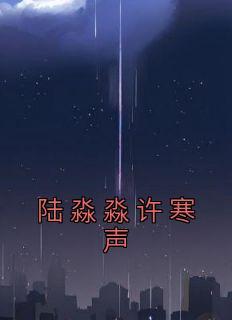 许淼淼薄夜寒