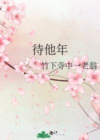 待他年讲什么