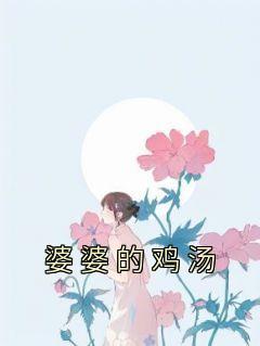 婆婆的鸡汤全文