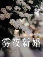 雾夜新婚by薄韫白