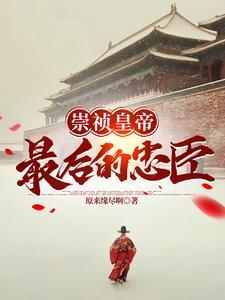 大明崇祯几年