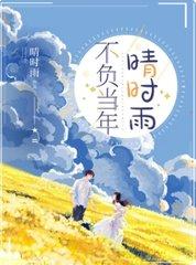 不负当年晴时雨完整版