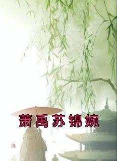 苏锦 萧震