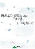 被迫成为幕后boss的日常 马甲