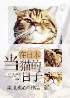 在日本当猫的日子资源