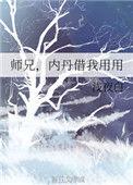 师兄内丹借我用用宝书网