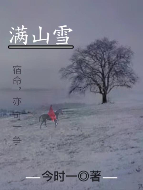 满山雪飞满天似我挂念你无边