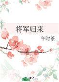 将军归来可好原文