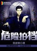 危险拍档epub