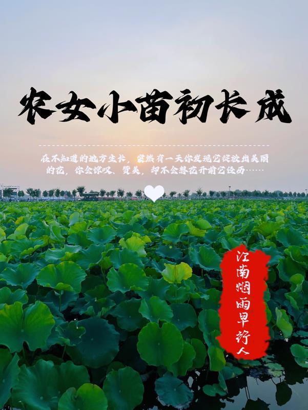 小农女免费阅读全文