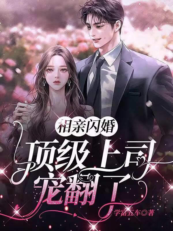 相亲闪婚高干宠文