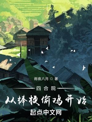 四合院从棒梗偷鸡开始  免费