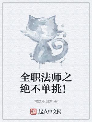 全职法师单挑全系多少集