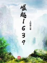 崛起1639顶点