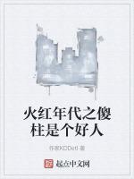 火红年代之傻柱是个好人KDD