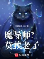 魔导师 大魔导师是什么