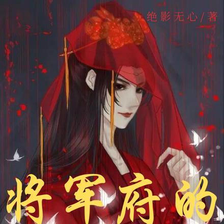 将军的替嫁男妃