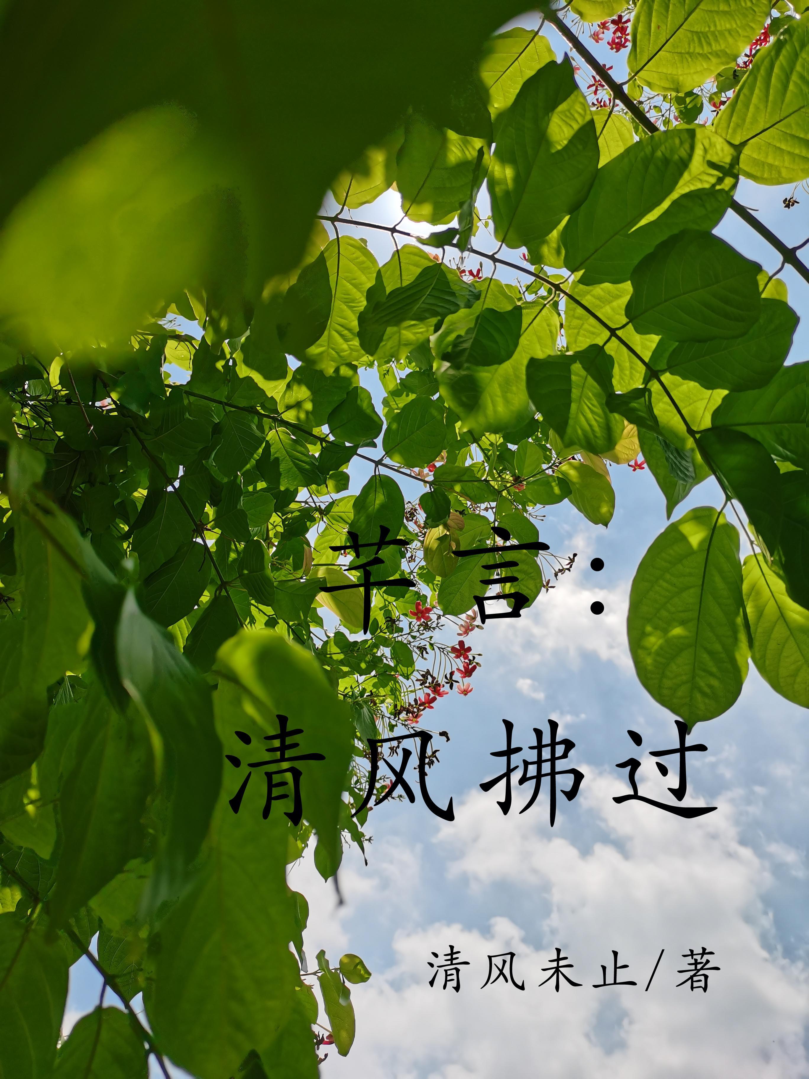 清风拂过什么意思