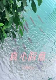 真心假意是什么意思