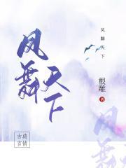 凤舞天下(女尊)