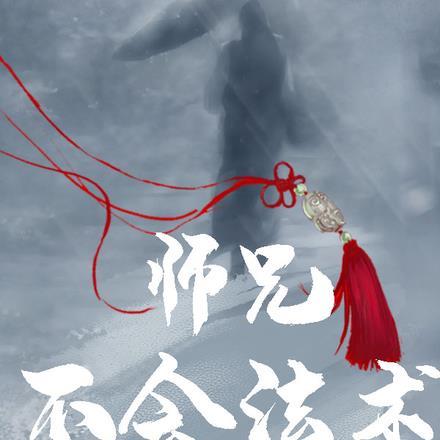 师兄不了