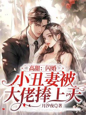 闪婚小妻不好惹免费阅读全文