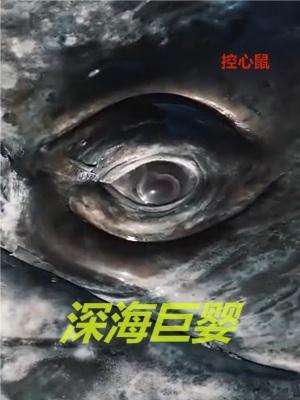 深海巨型生物图片