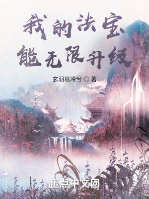 我的法宝能无限升级起点