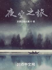 夜空之星是什么意思