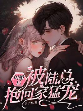 闪婚娇妻 陆总太心急