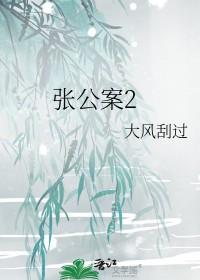 张公案2百度完结