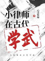 小律师在古代学武 第30章