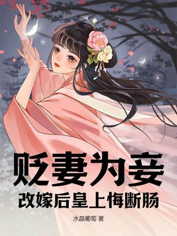 改嫁后皇上悔断肠 第251章