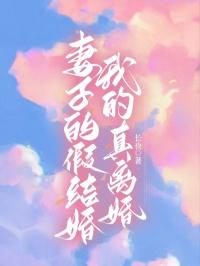 妻子假离婚电视剧名字