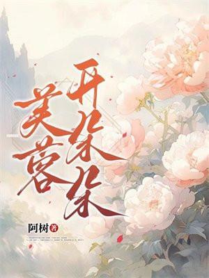 芙蓉开朵朵 阿树