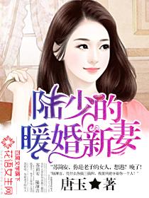 陆少的暖婚新妻全文免费阅读无弹窗