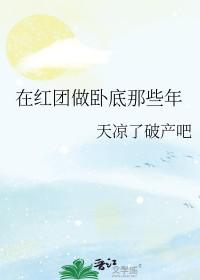 海贼王黑团vs红团