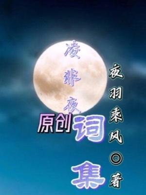 凌夜的