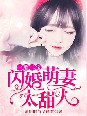 一胎二宝闪婚甜宋乔乔