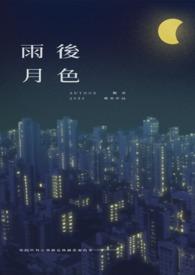 雨后月夜走暗处还是亮处