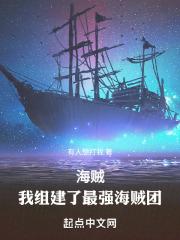 海贼我组建了最强海贼团作者有人想打我