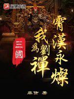 三国我为刘禅霄汉永灿