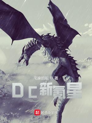 DC新氪星全集